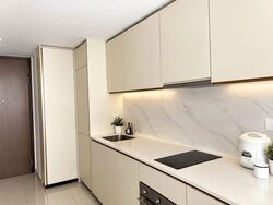 Kopar At Newton (D9), Apartment #612909161